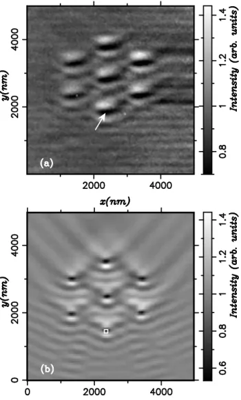 FIG. 7. For λ = 633 nm and TM incident polarization: (a) constant height experimental PSTM image recorded with a gold coated tip (d = 20 nm); (b) theoretical distribution of | H|→ 2