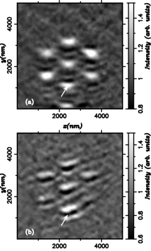 FIG. 13. Experimental constant height PSTM image recorded with a gold coated tip (d = 30 nm) at λ = 543 nm: (a) TE incident polarization, (b) TM incident polarization.