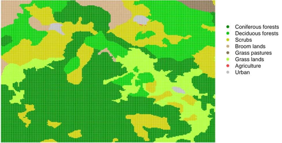Figure 1.3: Land cover for the part of Garrotxes area in 2000.