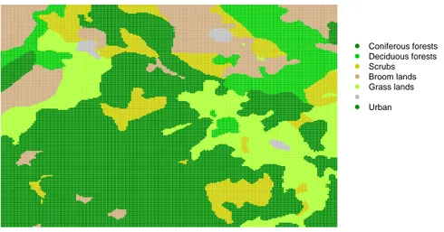 Figure 1.4: Estimated land cover for the part of Garrotxes area in 2000.
