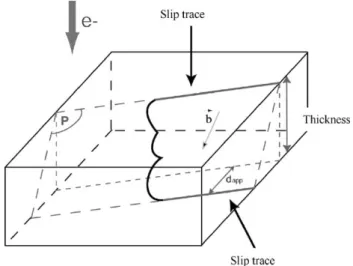 Fig. 5. Histograms of distribution of lengths (a) and widths (b) of pre- pre-cipitates.