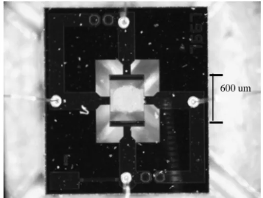 Fig. 1. Top view of the complete SnO 2  gas sensor 