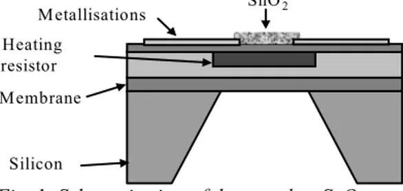 Fig. 1: Schematic view of the complete SnO 2  gas 