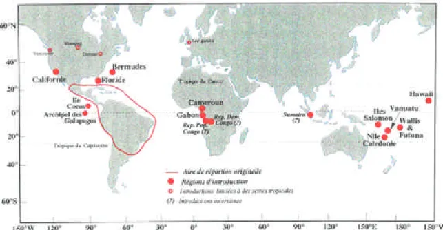 Figure 4.  Répartition géographique de Wasmannia auropunctata dans sa zone d’origine et  dans les nombreuses zones d’introduction (d’après Jourdan, com