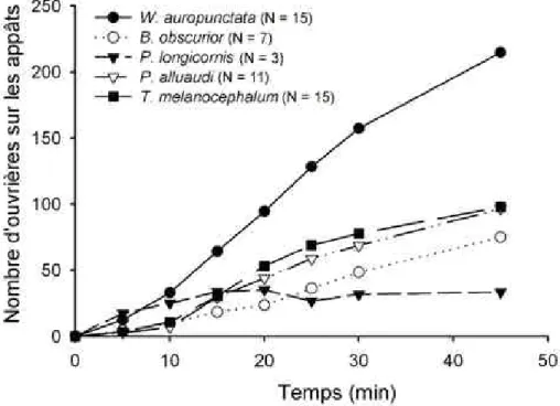 Figure 7.  Dynamique de recrutement des W. auropunctata et des  quatre espèces compétitrices sur des appâts disposés au  sol en  forêt sclérophylle