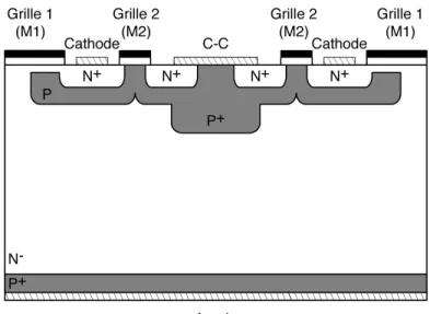 Figure 36 : Coupe d’une solution de structure associée à la fonctionnalité d’autoamorçage et de  blocage commandé