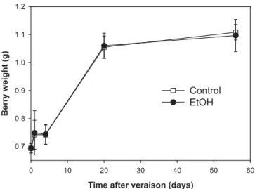 Fig. 1. Effect of a 5% ethanol (EtOH) treatment at veraison (day 0) on berry weight up to harvest (day 56); n  / 3, error bars represent S.E.