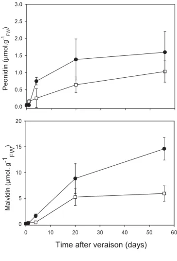Fig. 2. Accumulation of the main anthocyanins in grape berry skins after spraying at veraison with 5% ethanol (EtOH)