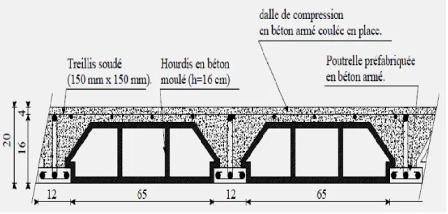 Figure II-1 : Coupe d’un plancher à corps creux. 