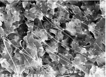 Figure 4. SEM image of a CNTs–Fe–Al 2 O 3 dense composite.