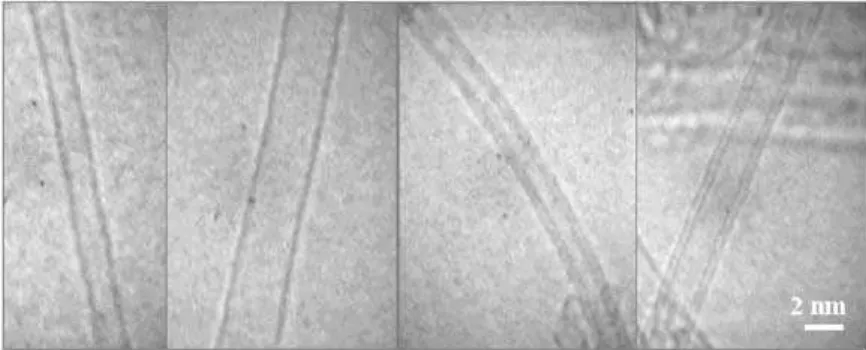 Figure 5. HREM images of extracted CNTs.