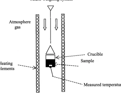 Fig. 2 . They have all the same shape. A first mass loss of approximately 2.5% of the initial mass occurs between 313 and 450 K
