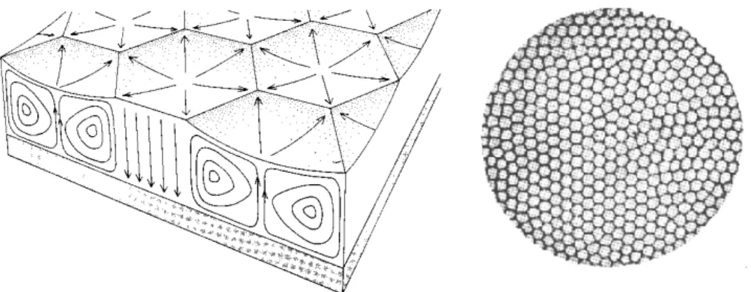 Figure 1.3 — Un exemple d’auto-organisation : l’expérience des cellules de Bénard.