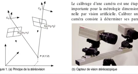 Figure 1. (a) Principe de la stéréovision (b) Capteur de vision stéréoscopique