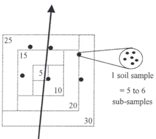 Fig. 1. Field sampling method for soil moisture measurements. At each site, six soil samples were taken at distances of about 5 to 10 m, i.e
