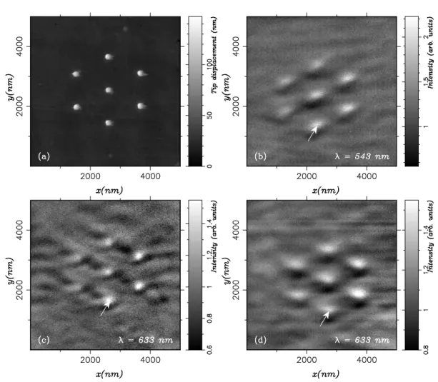 Figure 2. (a) AFM image of the sample. Tracks close to the pads along the scanning