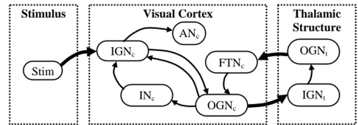 Fig. 1. The static network used to model the experiment [1]. 