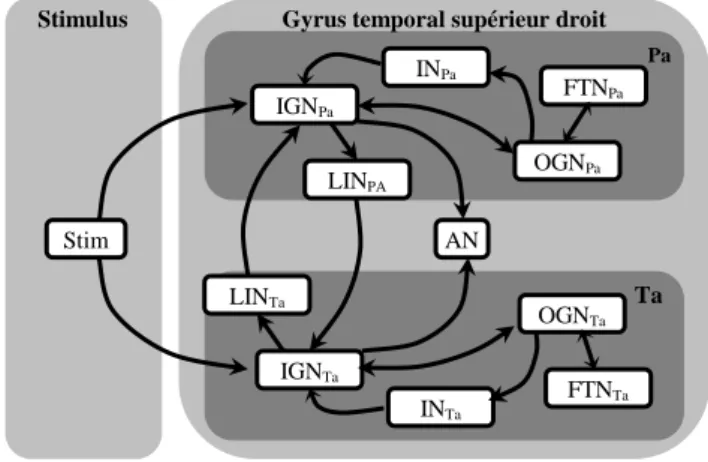 Figure 2.   Le réseau structurel et fonctionnel 