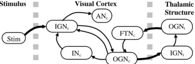 Figure 1:   The static network used to model the experiment [8, 9]. 
