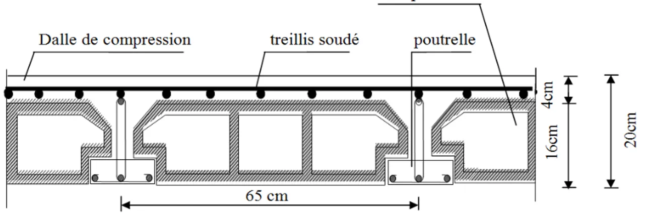 Fig. II-2) Section d’une poutre 