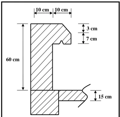 Figure III.1 : Coupe verticale de l’acrotère.60 cm
