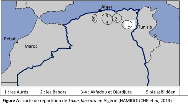 Figure A : carte de répartition de Taxus baccata en Algérie (HAMIDOUCHE et al, 2013)