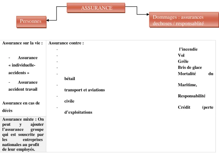 Figure n°1 : Types d’assurances 