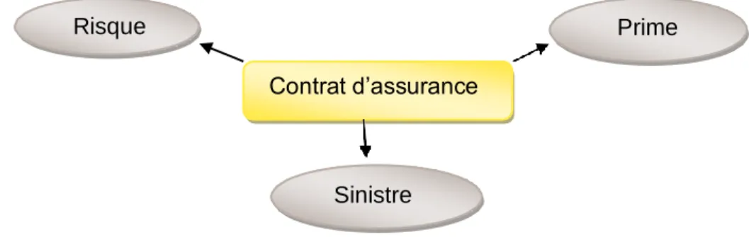 Figure n° 02 : les éléments d’une opération d’assurance 