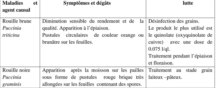 Tableau 1. Quelques maladies du blé.  Maladies  et  agent causal                  Symptômes et dégâts                            lutte  Rouille brune  Puccinia  triticina 