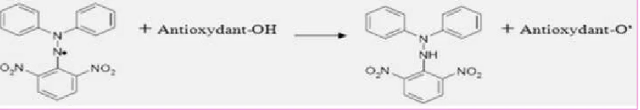 Figure 10 : Réaction d’un antioxydant avec le radical DPPH. 