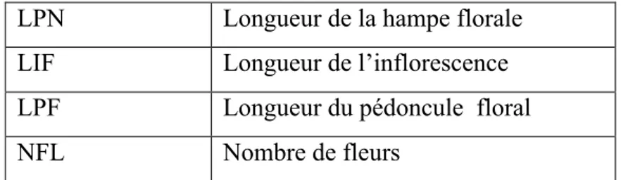 Figure 10 : Poudres végétales de Hyacinthoides aristidis.