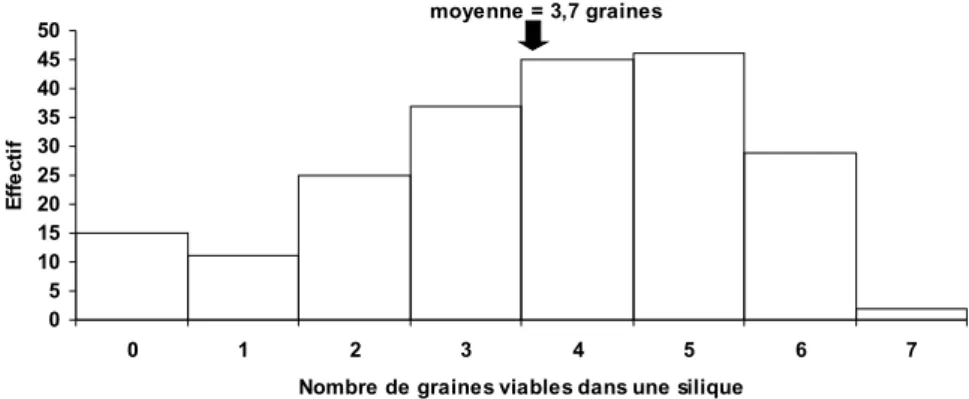 Figure 3.8.  Distribution du nombre de graines dans une silique de de monnaie-du-pape