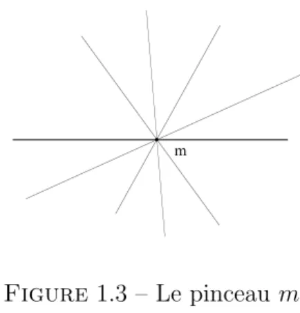 Figure 1.3 – Le pinceau m ∗