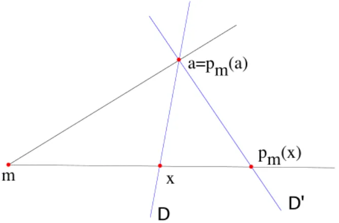 Figure 2.1 – La perspective de centre m, de D sur D 0