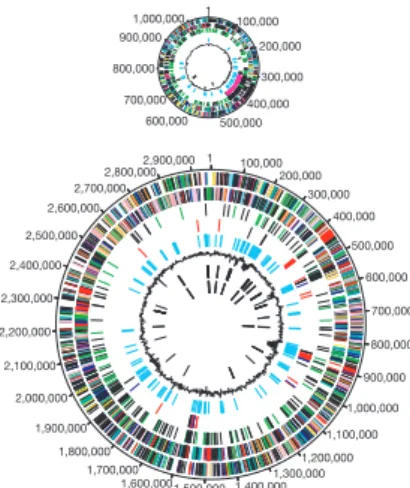 Figure 1 Linear representation of the V. cholerae chromosomes. The location of the predicted coding regions, colour-coded by biological role, RNA genes, tRNAs, other RNAs, Rho-independent terminators and Vibrio cholerae repeats (VCRs) are indicated