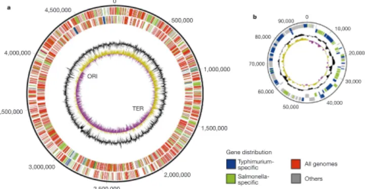 Figure 1 The Salmonella enterica serovar Typhimurium LT2 genome. a, The chromosome. Base pairs are indicated outside the outer circle