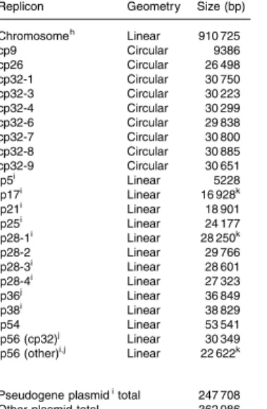 Table 1. The 22 B. burgdorferi B31 replicons.
