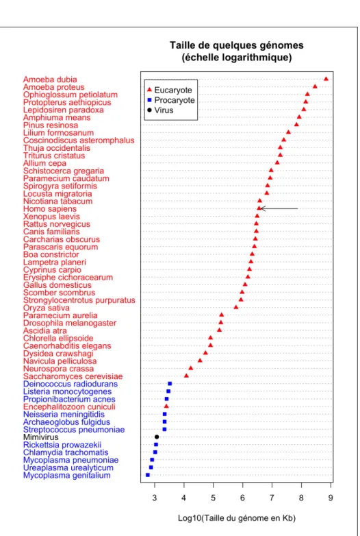 Figure 3 – Un exemple de représentation graphique qu’il est possible d’obte- d’obte-nir avec la fonction dotchart()