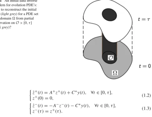 Fig. 1 An initial data inverse problem for evolution PDE’s: