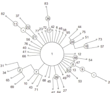 Figure 4 : R´ eseau de longueur minimale des 56 haplotypes trouv´ es dans les 10 populations ´ etudi´ ees