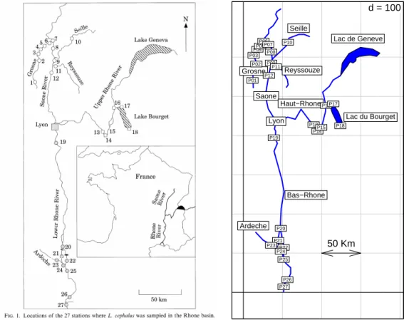 Fig. 1 – Espace concret : 25 stations.