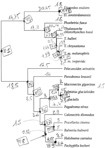 Fig. 6 – Pr´ eparation de la saisie d’une phylog´ enie avec longueur de branches.