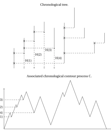 Figure 3: Chronological height and contour processes associated to the chronological tree con- con-structed from the sequence of sticks of Figure 1.