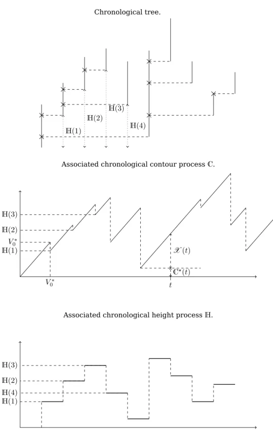 Figure 4: Chronological height and contour processes associated with the chronological tree constructed from the sequence of sticks of Figure 1.