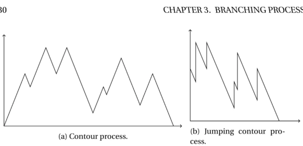 Figure 3.3: Contour process (a) and jumping contour process (b) of the chronologi- chronologi-cal tree of Figure 3.2.