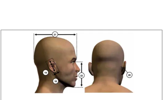 Figure 5 – Copie d’écran d’une partie de la page 232 de [3]. 18 ear breadth 19 ear length 20 ear protrusion 21 head length 22 menton-sellion length.