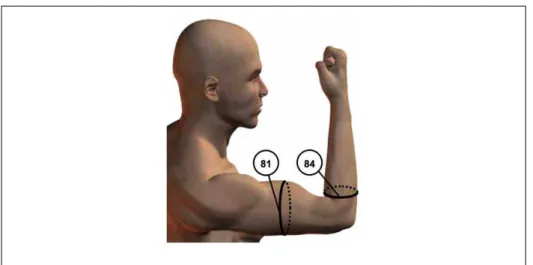 Figure 13 – Copie d’écran d’une partie de la page 242 de [3]. 81 biceps