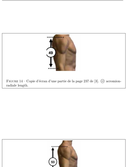 Figure 15 – Copie d’écran d’une partie de la page 237 de [3]. 53 shoulder-