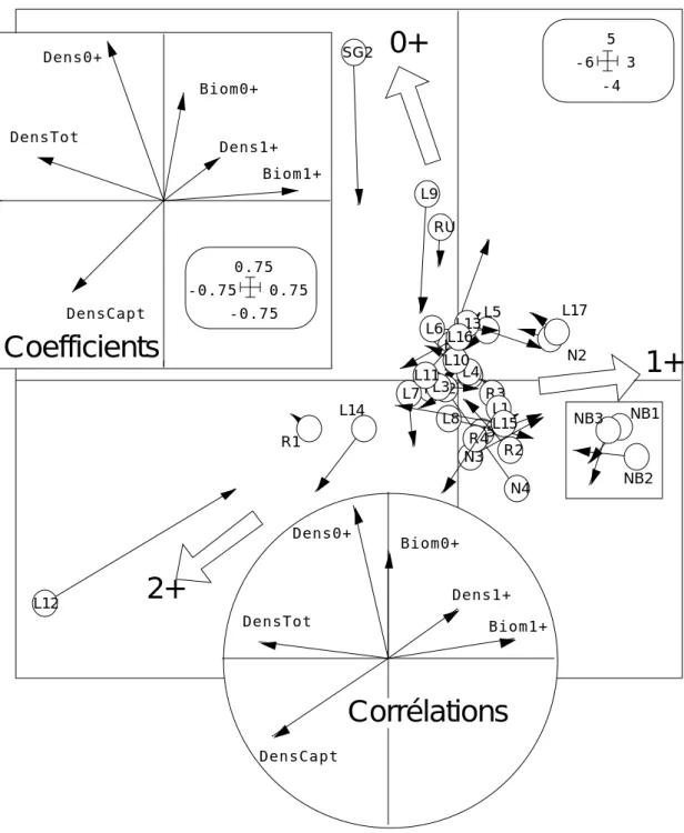 Figure 7 : Positions des stations sur deux codes combinaisons des variables biologiques (cercles)