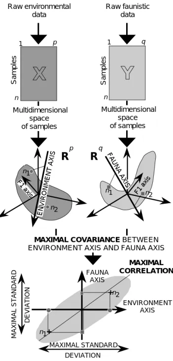 Figure 10 Schéma de principe des analyses de co-inertie.